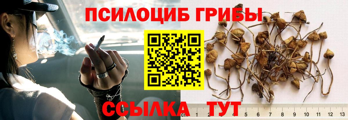 Псилоцибиновые грибы ЛСД Трёхгорный